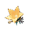 Instructor icon