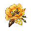 Archaic Petra icon